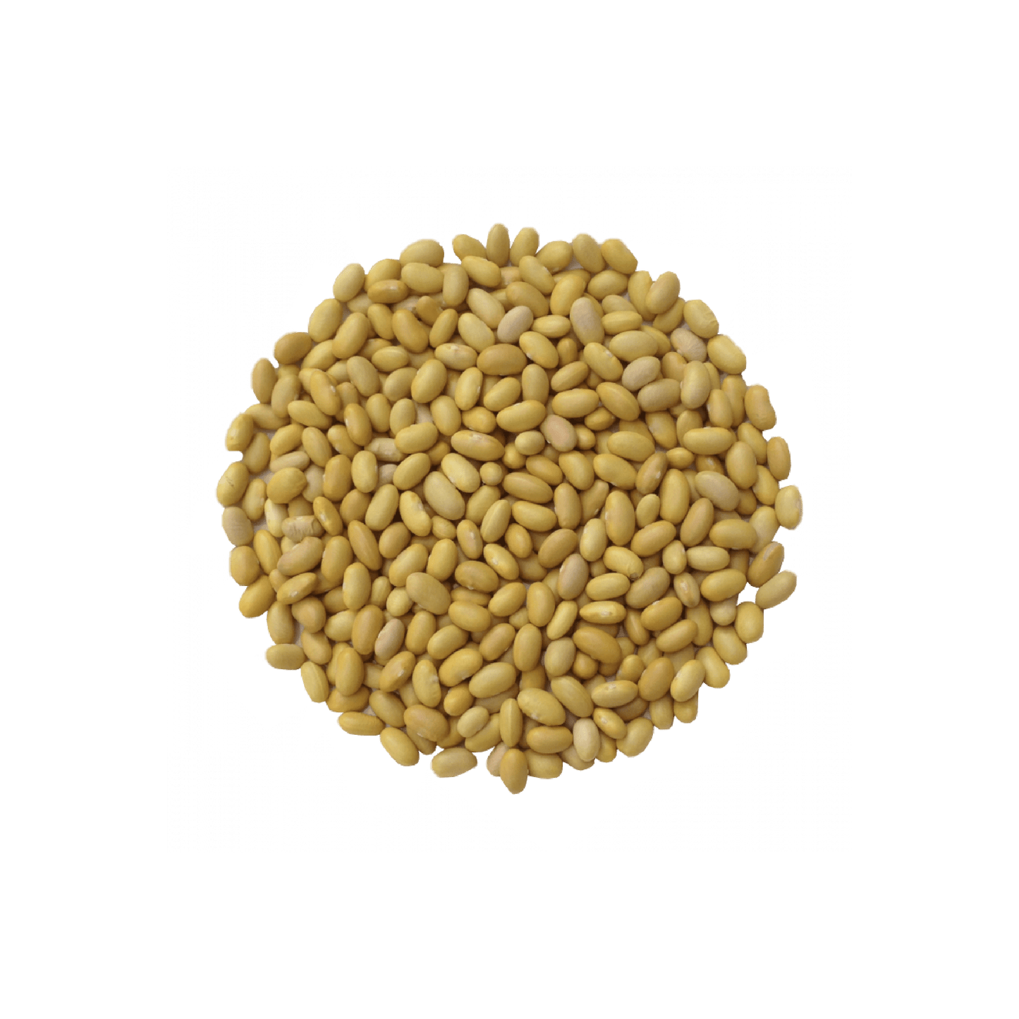 Frijol Reyna (Bulto 25kg)