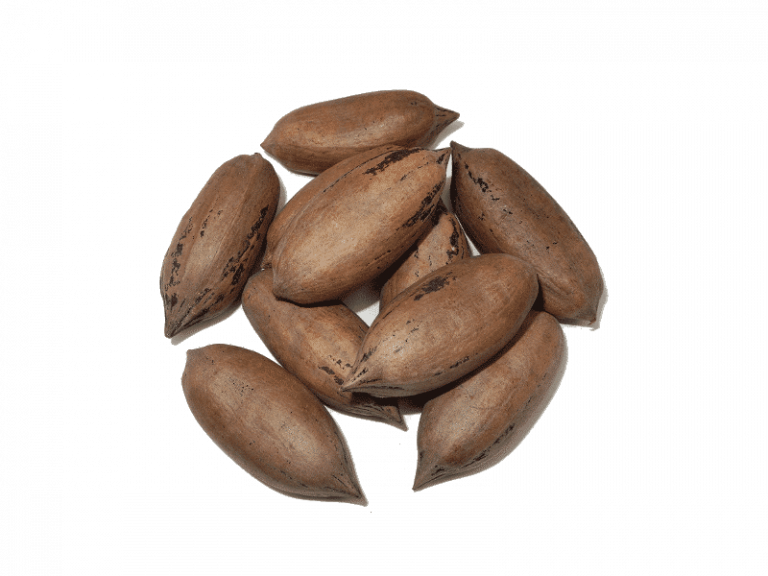 Nuez Con Cascara (Bulto 15kg)
