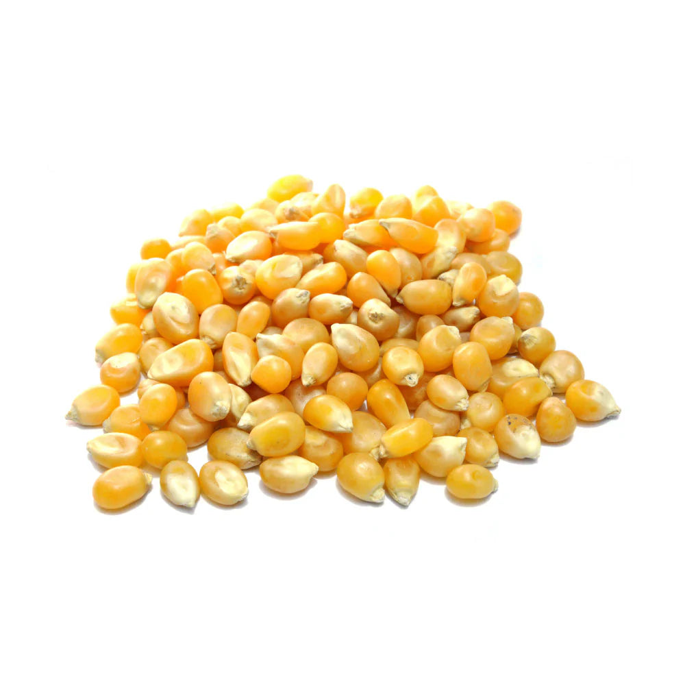 Maiz Palomero (Bulto 20kg)