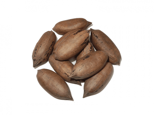 Nuez Con Cascara (Bulto 15kg)